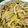 クックFMOE0H☆'s cooksnap of when they made にんにくバター醤油のパスタ.