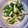 londondoro's cooksnap of when they made 長芋とほうれん草の炒め物.