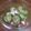 簡単おいしい食べ物's cooksnap of when they made たこときゅうりのお酢の物.