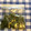 yoken201's cooksnap of when they made 大葉の塩漬け保存　保存袋使用で塩少量.