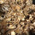 マリアマリママ's cooksnap of when they made ☆厚揚げ・もやし・キムチ炒め☆.