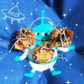 クッキングかぁ♡'s cooksnap of when they made モジャモジャ焼売♪.