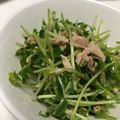 うーや♪'s cooksnap of when they made 簡単！豆苗シーチキン.