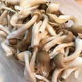mokomokomokotan's cooksnap of when they made しめじの保存法.