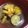 akane84's cooksnap of when they made ごろごろ焼き野菜の白だしスープ.