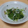 shiozakana's cooksnap of when they made 豆苗と釜揚げしらすのおひたし.