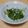 shiozakana's cooksnap of when they made 豆苗と釜揚げしらすのおひたし.