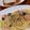 だんごくっく's cooksnap of when they made 生鮭としめじのクリームパスタ.