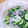 クックI7I5L1☆'s cooksnap of when they made ☆きゅうりと玉ねぎ！しその実の浅漬け☆.