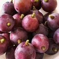 Jyohana's cooksnap of when they made ぶどうの保存方法.