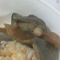 えみ_____'s cooksnap of when they made 麺つゆでナスの揚げ浸し☆大量消費☆.