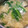 ☆ﾁｬｯﾋﾟ☆'s cooksnap of when they made レタスと卵の中華風スープ.