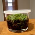 主婦初心者とん's cooksnap of when they made ネギ青い部分❢ネギ❢ドレッシング.