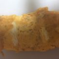ma___111's cooksnap of when they made 炒りごま入り卵焼き.