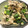 wakoのママ☆'s cooksnap of when they made オクラとしめじと牛肉オイスターソース炒め.