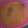 もりのりころ's cooksnap of when they made なめことワカメの味噌汁.