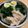 Jasmine's cooksnap of when they made 旨塩鶏の黄金スープであったかそうめん♡.