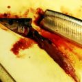 グラターイ's cooksnap of when they made サンマの内臓の取り方.