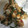 クック05N5RD☆'s cooksnap of when they made 鶏モモの梅しそ和え.