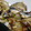 かおるっこら's cooksnap of when they made イワシの蒲焼き丼.