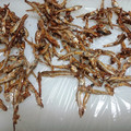 cookhkm's cooksnap of when they made 定番おかずに！煮干で田作り.