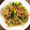 Mau☆cafe's cooksnap of when they made 豆苗とベーコンのサッと炒め.