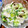 クックYF8ALF☆'s cooksnap of when they made 梨ときゅうりのヨーグルトサラダ.