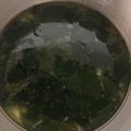 しゃもじなくま's cooksnap of when they made ウェイパーの1分で出来ちゃうワカメスープ.