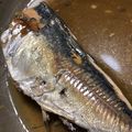 ゆきにな's cooksnap of when they made 簡単☆あじの煮付け.