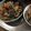 ﾌﾞﾚﾝﾀﾞ's cooksnap of when they made 風味も栄養も！ごぼうのあく抜き（冷凍も）.