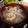 イチゴ、イチゴ。's cooksnap of when they made なすのお味噌汁.