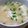 ﾋﾟﾛﾐ♡'s cooksnap of when they made 5分でできる豆腐とネギの味噌汁！.