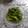 ひトみ's cooksnap of when they made ★浅漬けのもとで　うまっ！枝豆★.