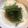 Rayryu123's cooksnap of when they made 納豆おくらそうめん.