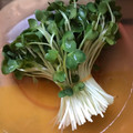 めいちママ＊'s cooksnap of when they made ＊便利＊ かいわれの洗い方.