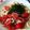 まさむにゃ。's cooksnap of when they made 簡単トマトうどん.