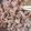 ふうか1D's cooksnap of when they made 牛肉のソース炒め.
