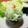 meikun0126's cooksnap of when they made 血液サラサラ鯖の缶つま.