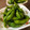 shiorinn's cooksnap of when they made ★浅漬けのもとで　うまっ！枝豆★.