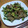なべまゆゆ's cooksnap of when they made 豚とアボカドの黒胡椒炒め.