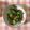 すぎすぎばぁ's cooksnap of when they made お弁当に！冷凍OK！おくらのおかかあえ.
