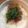 Rayryu123's cooksnap of when they made 梅ツナ納豆そうめん.