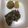 テヨン1's cooksnap of when they made 離乳食 ひじきとしらすのおやき.