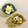 Y✿えくぼ飯's cooksnap of when they made カブと梨の浅漬け.