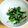 ＊キーツニャン＊'s cooksnap of when they made 簡単小鉢✿小松菜の昆布辛子和え.