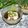 mielle's cooksnap of when they made 長芋・オクラともずくの梅大葉風味.