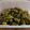 クックSJN5MX☆'s cooksnap of when they made ししとうの簡単つくだ煮.