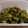 クックSJN5MX☆'s cooksnap of when they made ししとうの簡単つくだ煮.