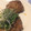 クック8S09BZ☆'s cooksnap of when they made さっぱり和風ハンバーグ☆.