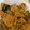 yumiko0955's cooksnap of when they made かぼちゃの煮物.